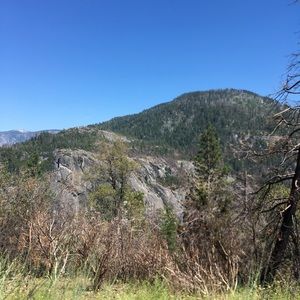 Meet your Posher, Bryce